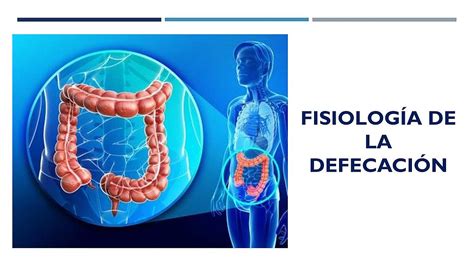 Esquema sobre la fisiología de la defecación en niños