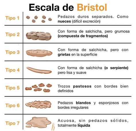 Tabla de la Escala de Bristol para la consistencia de las heces