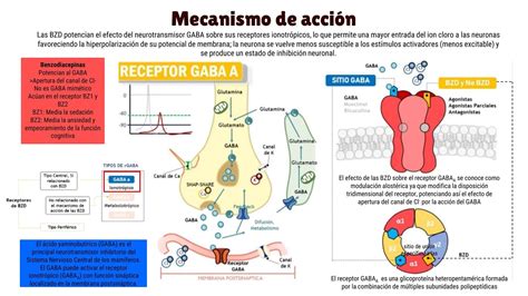 Infografía sobre el mecanismo de acción del clotrimazol en las células fúngicas