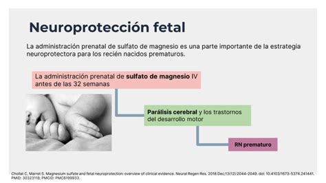 Esquema ilustrativo del mecanismo de neuroprotección del sulfato de magnesio en el feto: bloqueo de canales de calcio y estabilización hemodinámica