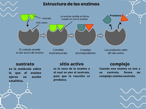 Esquema explicativo del mecanismo de acción de la nimesulida como inhibidor selectivo de la enzima COX-2 en el proceso inflamatorio.
