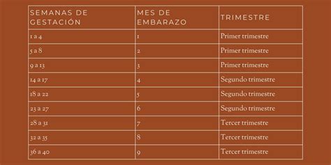 infografía comparativa entre semanas y meses de embarazo