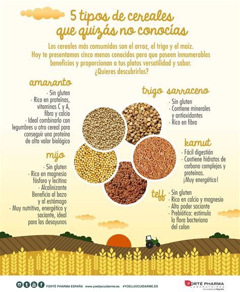 Infografía mostrando diferentes tipos de cereales integrales y sus beneficios para bebés.