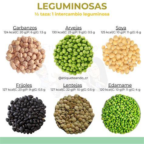 Ilustración de diferentes tipos de leguminosas comunes en pastizales.