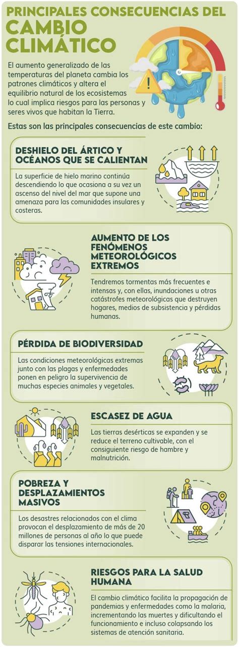 Infografía o esquema sobre el funcionamiento y los beneficios de las