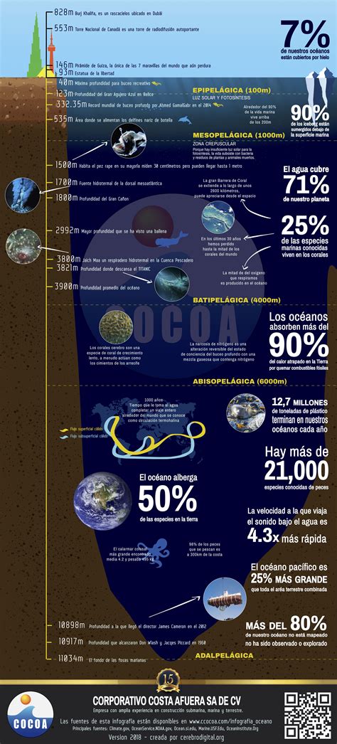 Infografía sobre la distancia de plantación y profundidad del hoyo para setos
