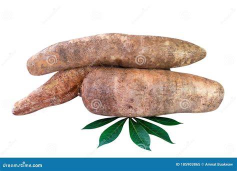 Imagen de tubérculos de yuca frescos