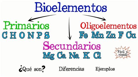 Esquema de los elementos esenciales que componen una cesta de bebé: textiles, higiene y accesorios de juego.