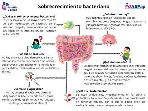 Infografía o esquema sobre el sobrecrecimiento bacteriano intestinal y sus causas