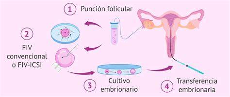 Esquema general de un laboratorio de FIV con indicación de zonas de control ambiental