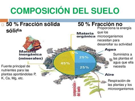 infografía que muestra la composición de un suelo fértil: minerales, materia orgánica, agua y aire