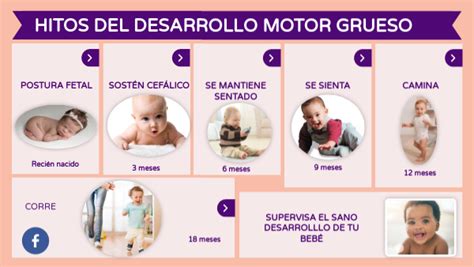 Esquema del desarrollo motor grueso en lactantes (cabeza a tronco)