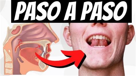 Diagrama que ilustra la posición correcta de la boca y la lengua del bebé al usar una tetina Suavinex con base cóncava.
