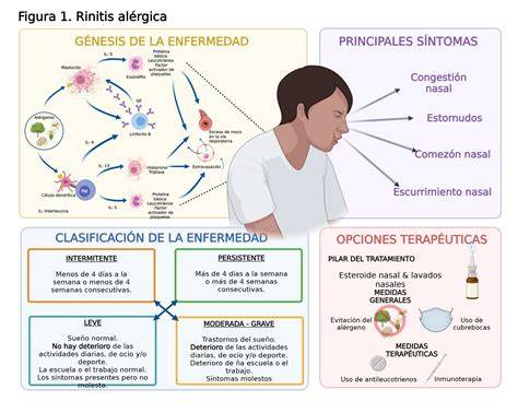 Esquema ilustrativo de los síntomas principales de la rinoconjuntivitis alérgica y las áreas afectadas en la vía aérea superior