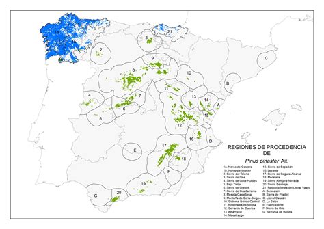 Mapa de distribución geográfica de Pinus pinea en la cuenca mediterránea