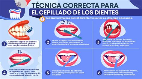 Ilustración detallada de la técnica correcta de cepillado dental.
