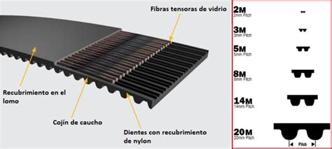 Esquema técnico del sistema de correas de 4 metros y su fijación segura en un canapé y un somier tradicional