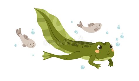 Ilustración de un renacuajo nadando en el agua, mostrando su forma característica