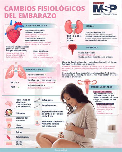Infografía sobre las tres fases emocionales de la madre durante los primeros meses del posparto.