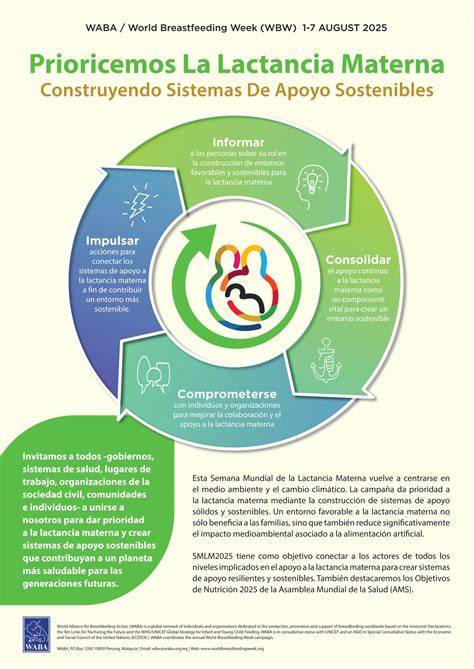 Gráfico ilustrando la cadena de apoyo necesaria para la lactancia materna óptima