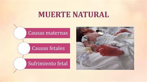 Infografía comparativa: causas de muerte fetal en trauma cerrado (shock materno vs. desprendimiento de placenta)