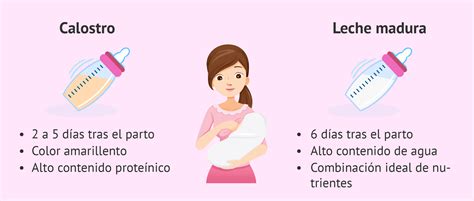 Infografía sobre los beneficios de la leche materna para el bebé