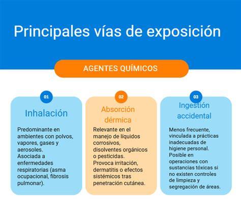 Esquema de las principales vías de exposición y riesgos asociados a productos químicos en el hogar