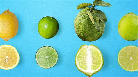 Fotografía detallada de los limones de Menton y sus características organolépticas (corteza gruesa y color vibrante)