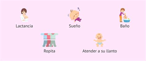 Ilustración detallada de la piel de un recién nacido, destacando su delgadez y sensibilidad.
