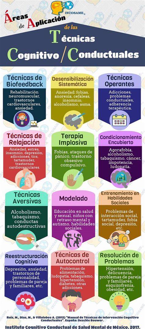 Infografía sobre las áreas de aplicación de técnicas manuales suaves en el neonato