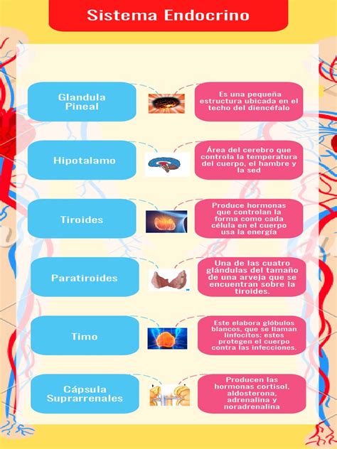 infografía sobre el funcionamiento del sistema anticólico de los biberones MAM