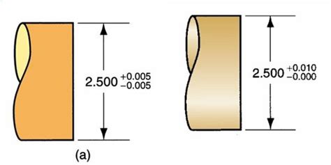 Diagrama ilustrando la fijación unilateral y bilateral de embriones gemelares en el útero equino.