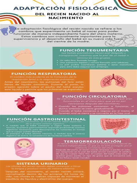 Esquema de la transición fisiológica del recién nacido de la vida intrauterina a la extrauterina y puntos clave de vigilancia en el paritorio.