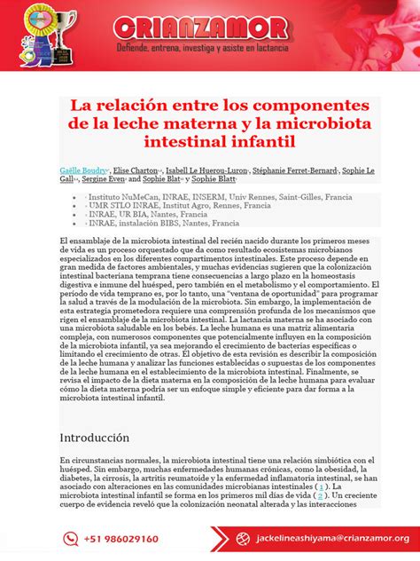 Esquema de los componentes de la leche y su relación con el queso