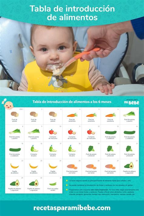 Infografía sobre las etapas de introducción de alimentos según la edad del bebé