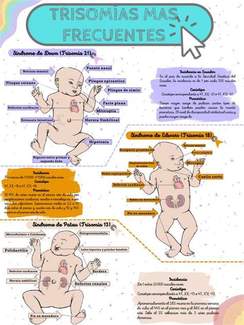 Infografía de las trisomías más comunes (21, 18, 13) detectadas por pruebas prenatales