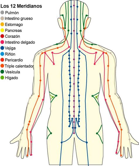 Esquema de los meridianos y puntos de acupuntura clave en el tratamiento de la salud ginecológica