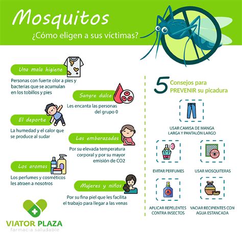 Infografía sobre cómo prevenir las picaduras de mosquitos