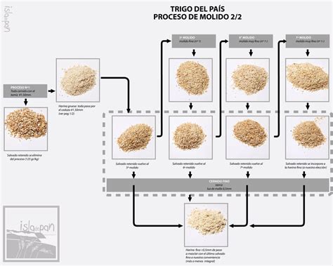 Esquema detallado de los componentes de la harina y los aditivos utilizados en la panadería industrial