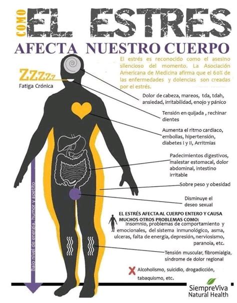 Infografía sobre los efectos del estrés crónico en el cuerpo