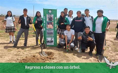 Alumnos plantando árboles de ribera junto al río Jiloca