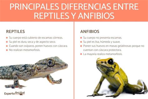 Reconstrucción artística de un sinápsido primitivo, mostrando características intermedias entre reptiles y mamíferos.