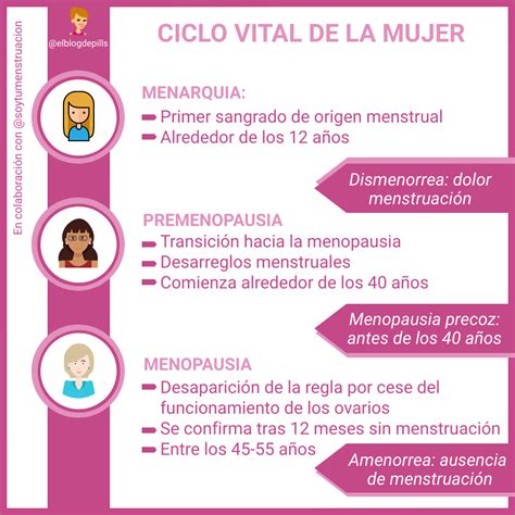 Infografía que ilustra el ciclo vital de la mujer atendido por la matrona: salud reproductiva, embarazo, parto, puerperio, climaterio y sexualidad.