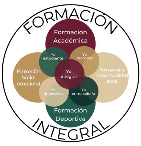 Infografía: Los pilares de una formación integral para doulas