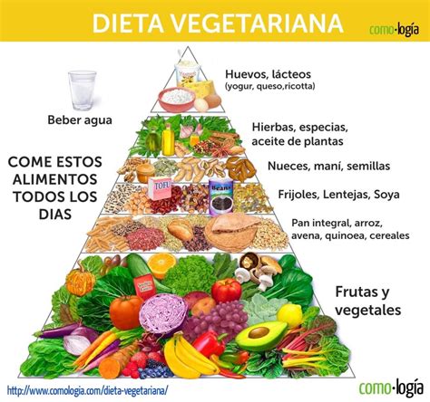 Esquema: Grupos de alimentos clave en la dieta vegetariana y fuentes de calcio y omega-3.