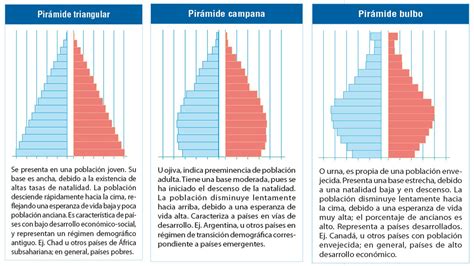 Esquema de los diferentes tipos de pirámides de población (expansiva, constrictiva, estacionaria)