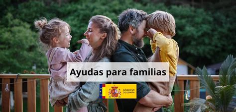 Infografía: tipos de ayudas para familias numerosas
